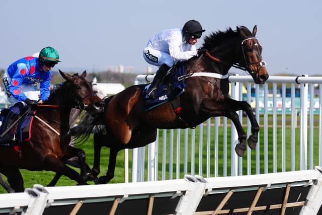 The former champion hurdler has fallen three times from his last four starts over timber and his run next week could lead to further outings on the level or set up another Cheltenham bid.