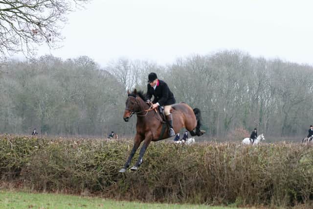 Upon retirement he was initially posted to Haras du Grand Courgeon in Le Lion d’Angers for a fee of £3,500, after which he returned to England to stand at Norton Grove Stud in Yorkshire for a reduced sum of £2,000.