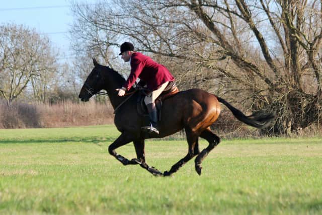 “My other horse had lost a shoe and I needed to go whipping-in, so I thought ‘well, the thoroughbred is fit. It’s a nice, easy day with the bloodhounds, I may as well take him and see how he gets on’.