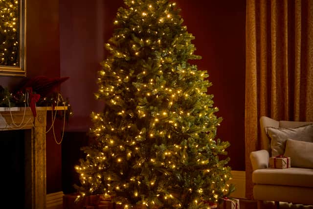 4. Opulent Pine Pre-Lit Christmas Tree – 8ft, £396 (was £495), Cox & Cox