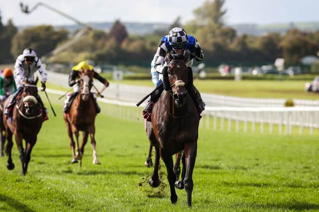 “I’d love to get a drop of rain for him like most horses, but I think if he turns up on the day in the same vein of form as he did at the Curragh, it’s fair to say he will be more than competitive.”