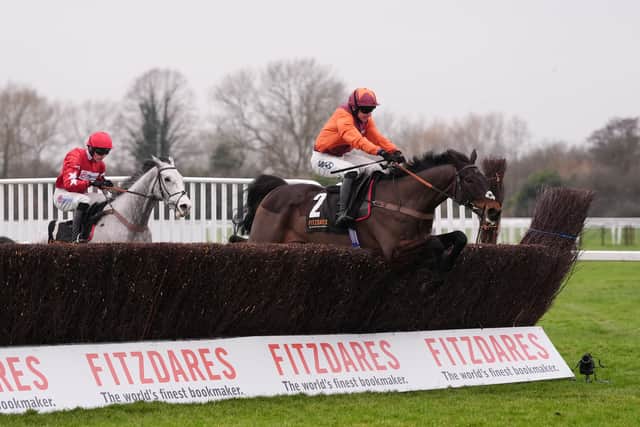 “It wasn’t bad going under the circumstances and we’re hoping for a clearer run this season as he looks a hugely exciting second-season chaser.