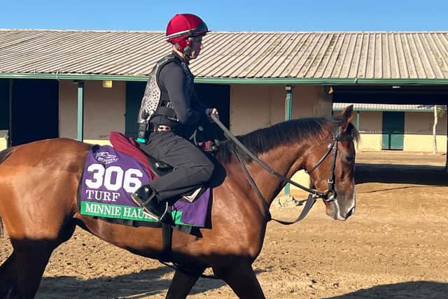 “She lost weight on the flight over, but I’m happy with her and happy enough with the draw (eight).”