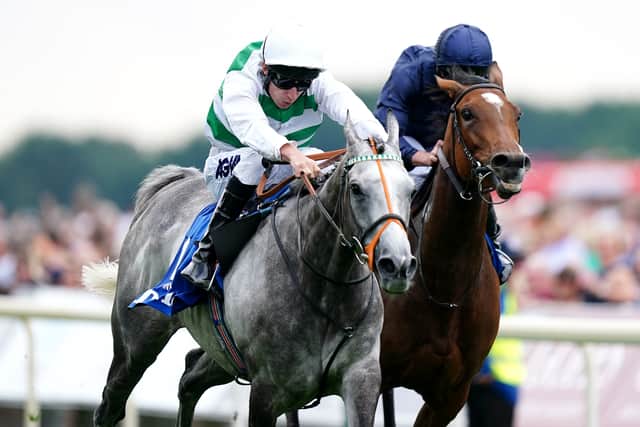 Exceptional on her travels, but still in the eyes of many swimming under the radar when making the trip to Yorkshire somewhat under duress in August 2022, she headed home with a fifth straight Group One to her name and ParisLongchamp glory within reach.