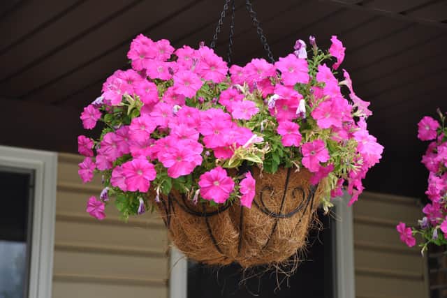 Save hanging baskets