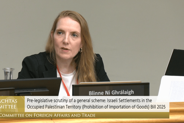 Ms Ni Ghralaigh, who was a member of the South African legal team accusing Israel of genocide at the International Court of Justice, was part of an expert panel to discuss the Occupied Territories Bill at the Irish Parliament’s Foreign Affairs Committee on Wednesday evening.