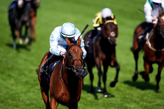 Connections also have further big days to look forward to with the exciting Amiloc after he took his unbeaten record to a perfect five out of five in last week’s King Edward VII Stakes.