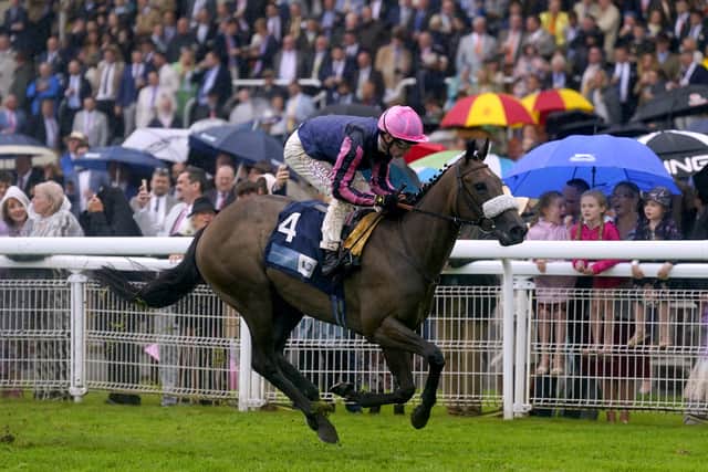 Haatem was one of five winners at Royal Ascot for the Emir of Qatar’s racing operation who left the summer showpiece buoyant after another stellar week.