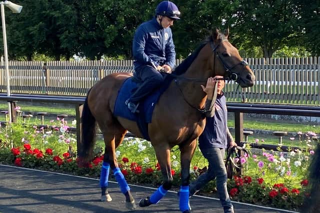 Keane is the first jockey since James Doyle to be committed to Juddmonte, joining the likes of Pat Eddery and Richard Hughes amongst those who have donned the famous pink, white and green silks on a regular basis for the Abdullah family’s operation.