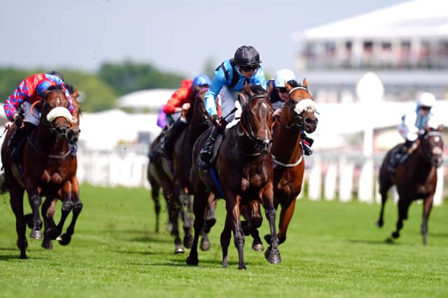 However, Dwyer had spotted a vacancy at the top of the European sprinting scene and he was not let down by his horse of a lifetime, who provided the Ballarat handler with the ultimate thrill when storming to King Charles III Stakes glory.