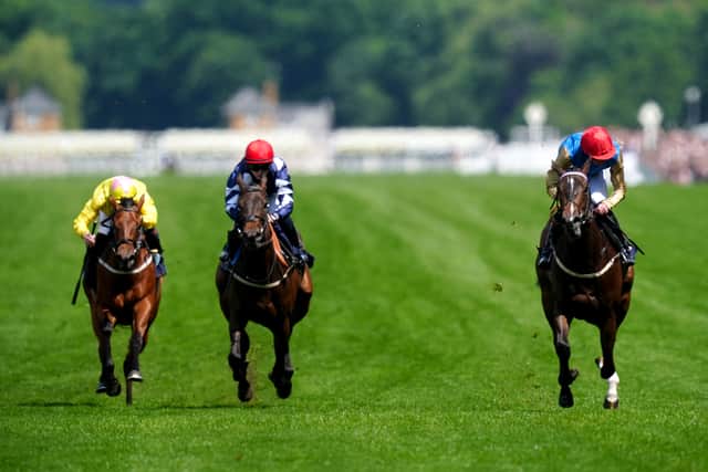 And after excelling in his first season donning the old gold and peacock blue silks of the Wathnan operation who cherish Royal Ascot success above all else, Doyle is relishing this year’s action at the Berkshire track with some talented youngsters and high-class acquisitions to look forward to.