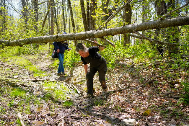Tyler Hadyniak, one of the abutting property owners, said the recall was not just about the orange blazes or the woodland trail. He said it addressed a pattern of behaviour by Donahue that chafed longer established residents in the year since she took office.