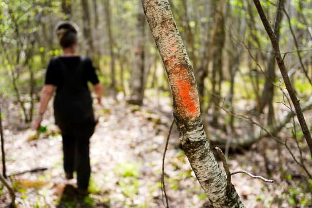 In a twist of fate harkening back to her movie career, Donahue has been embroiled in a spat with locals that hinges on her marking trees with orange blazes to help people find their way in the dense forests.