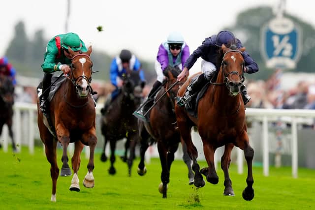 Calandagan was a regular visitor to Britain last season, impressing at Royal Ascot when winning the King Edward VII Stakes, before giving City Of Troy most to think about at York when second in the Juddmonte International Stakes, a race recognised by Longines as the world’s best in 2024.