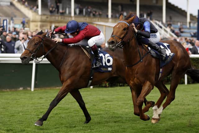 “You have to ride him like that and with the ground drying out, it helped us.”
