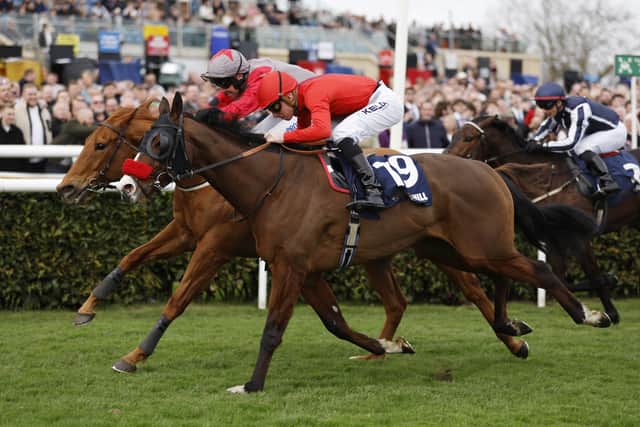 The pair both went for the same gap just over a furlong out with Thunder Roar leaning into 50-1 shot Pearl Eye.