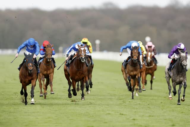 The first three in the William Hill More Top Prices Maiden Stakes all made favourable impressions, with winner Bedouin Prince (7-4) almost going back round to Rose Hill by the time James Doyle was able to pull him up.