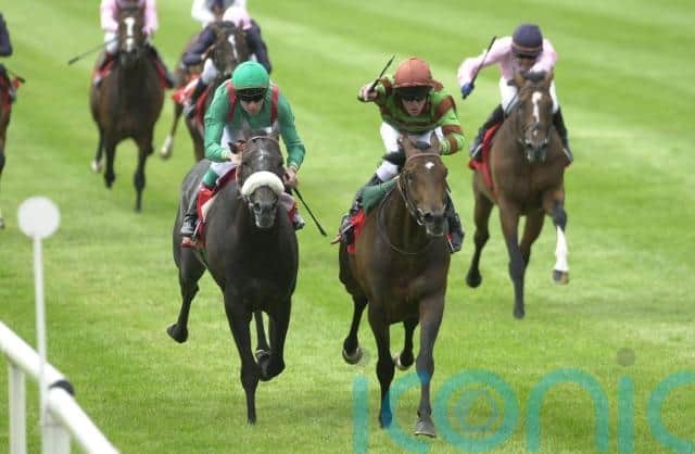 “I found him an understanding owner and we had a great 25 years together, lots of good times and it was pleasure to train for him.”