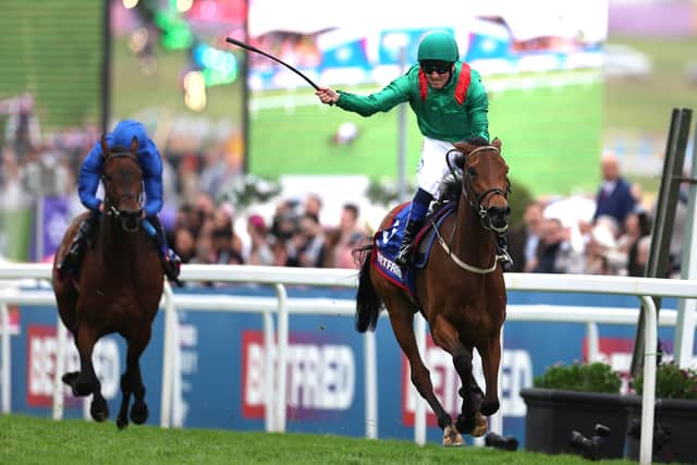 However, their association came to another abrupt halt in 2000 when two of the owner’s horses trained by Cumani returned positive tests, prompting him to remove 30 horses from the Newmarket-based Italian.