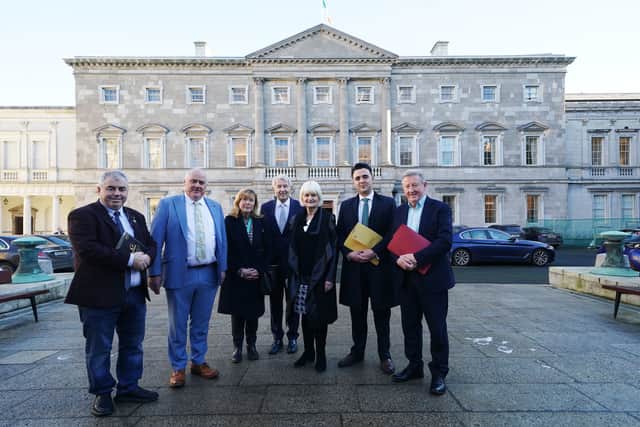 Sinn Fein TD granted permission to take legal action against Government