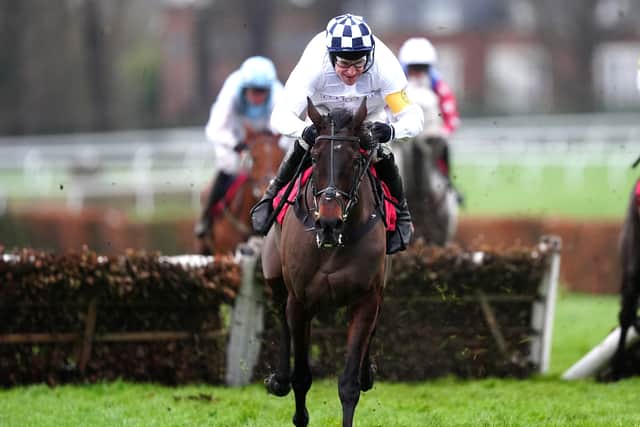 “He’ll be trying his best, he faces a tough task with the weight but Paul was still keen to ride him as he’s a classy horse, even with 12st.”