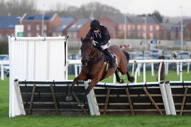 The New Lion has oozed class in winning a bumper and twice over hurdles and Skelton would not swap him for any of the others.