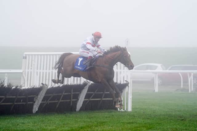 The fourth French winner of this race, Nietzsche Has was shortened to 12-1 from 33-1 for the Triumph Hurdle by Betfair.