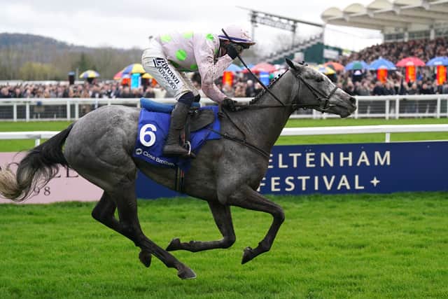 She is also entered in the December Hurdle at Leopardstown on December 29 – but owner Rich Ricci feels they are more likely to bypass that in favour of a trip to Kempton on Boxing Day or even Cheltenham for the Relkeel Hurdle on January 1.