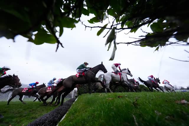 Stumptown, trained by Cheltenham regular Gavin Cromwell, was sent off the 4-1 favourite having bounced back to form with two wins over the Punchestown banks course of late.