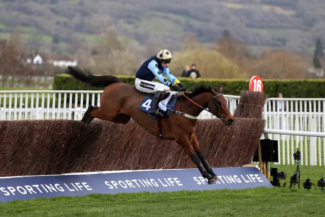 “I was delighted with his comeback run behind Jonbon in the Shloer Chase at Cheltenham last month, and he took a bit of a blow going to the last fence, which suggests that he might come on for the run.