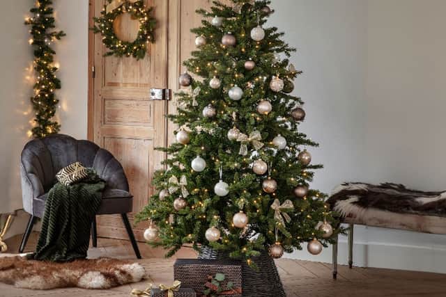 6. Fern Christmas Sherwood Pine Tree, 6ft, £114.99, British Garden Centres, in-store