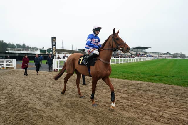 “We were waiting for the other horse to come in, but it’s a bizarre situation,” Nicholls told ITV Racing.