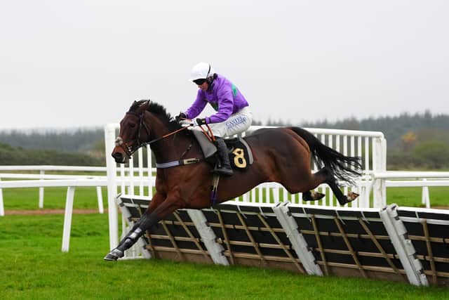 Jimmy Frost said: “It’s great, Martin bred the mare and I bred the jockey!”