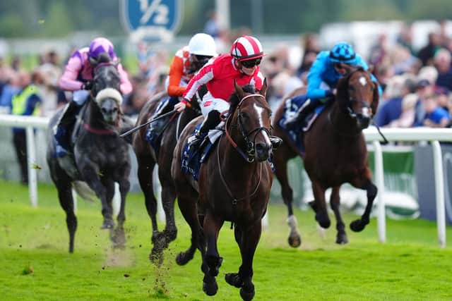 It is Archie Watson’s Bradsell who has proved a thorn in Believing’s side, winning both the Nunthorpe and Flying Five Stakes with the Boughey-trained sprinter in second.