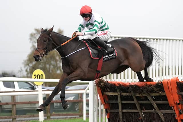 Elliott was also on the scoresheet with The Yellow Clay, who made a perfect hurdling introduction as he won the opening Irish Stallion Farms EBF Maiden Hurdle for the ninth time in the last 10 years.