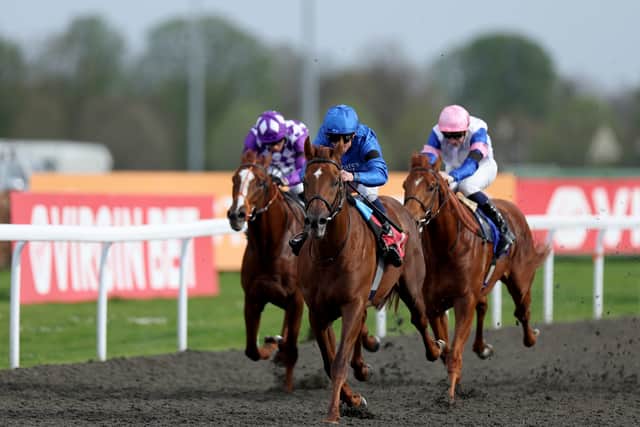 However, he now runs arguably his best contender yet in his Classic-winning son of Dubawi, who has shown his aptitude for a tight turning track when winning at Kempton in his early days and then his quality for red-hot assignments by scoring not only at Newmarket in the spring, but also in the Sussex Stakes.