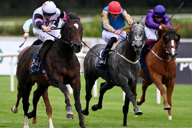 The race lost some of its spice when Christopher Head’s Ramatuelle was ruled out of the race on Friday, but Notable Speech still faces a worthy adversary in Donnacha O’Brien’s Porta Fortuna.