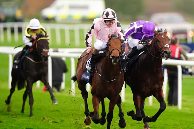 Coral make both colts 25-1 shots for next year’s Derby, while Hotazhell is 25s from 33-1 for the 2000 Guineas with Betfair.