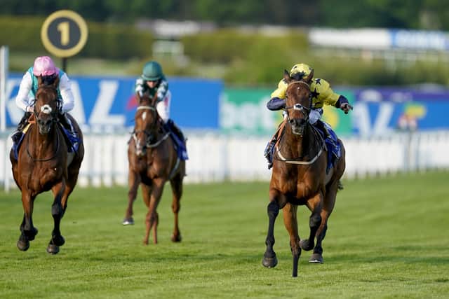 “I won over a mile and three-quarters on him at Haydock when I had dropped him out stone last and then a month later he made all at York. Not many do that.”