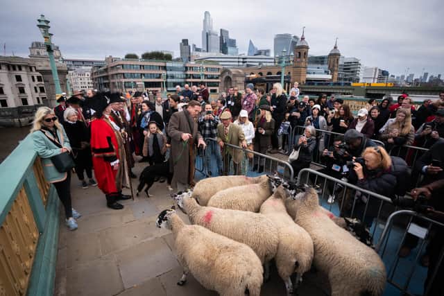“We’ve just started with a few sheep and it’s sort of taken a life of its own now, and it’s a huge event – it’s the second largest outdoor event of the City of London, other than the Lord Mayor’s Show”, he added.
