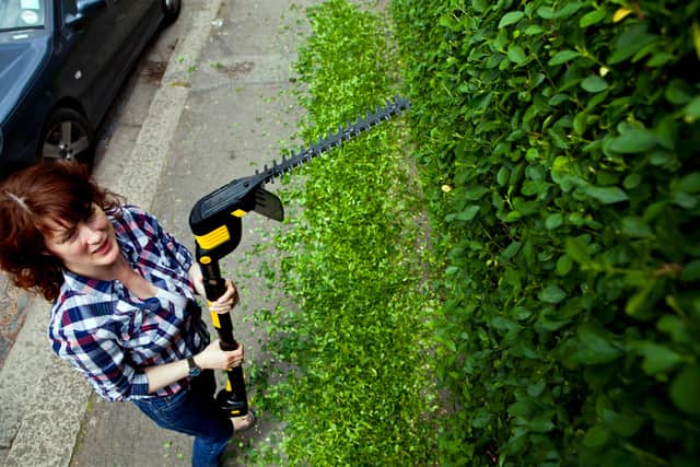 For a tall hedge