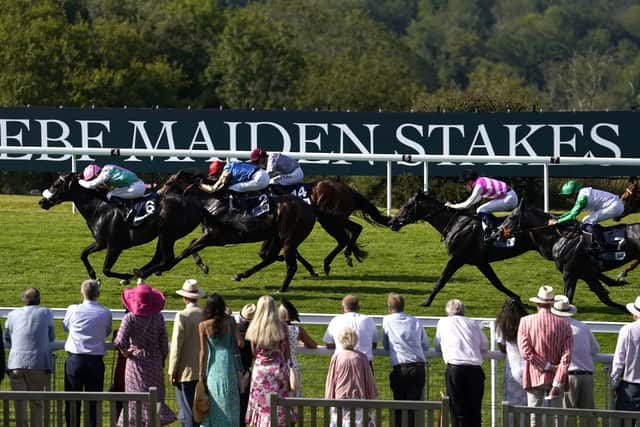 “He’s a little bit like his brother last year and a slow learner. Array was a slow learner last year and it took him three runs to break his maiden – and this guy is very much the same.
