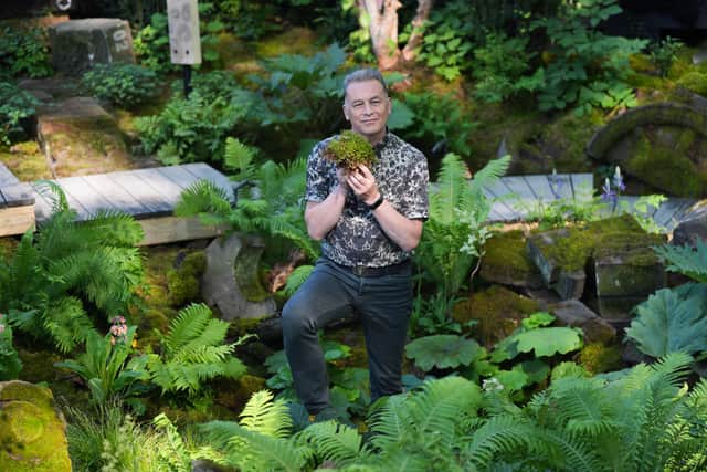 “One species to really listen out for are blackbirds,” Packham says. “Another is song flushes, I call them the urban nightingale. Their rich, fluid and melodic song is really special and again they’re widespread across the UK, you can find them in urban as well as rural areas.”