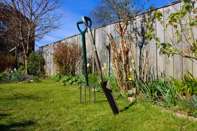 You can also use this time to plant your roses, shrubs, and climbers, which gives them plenty of time to establish before flowering in the coming months, highlights Domoney.