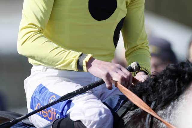 Burke already has a smart three-year-old cold in Night Raider, while his Fallen Angel is strongly fancied for the 1000 Guineas.