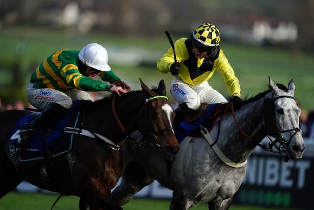 Tizzard feels he merits his place in the Champion Chase field, even if he is a big outsider.