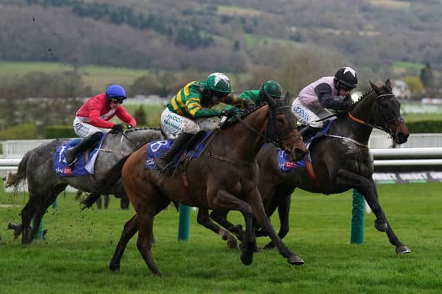 “I’m delighted with him, Rachael gave him a super ride and fair play to the Robcour team – they said Ballyburn has beaten us twice and we need to just avoid him, so that’s what we did and it’s worked out really well for us,” said De Bromhead.