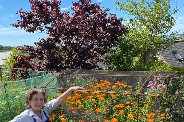 What was your garden in Devon like when you first moved there?