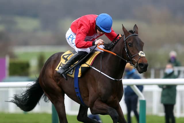 “It’s always in the back of your mind, the fact that it’s happened again, but his run last year was savage so he could be there at a big price hopefully and pick up the pieces from the big guys if anything goes wrong.”