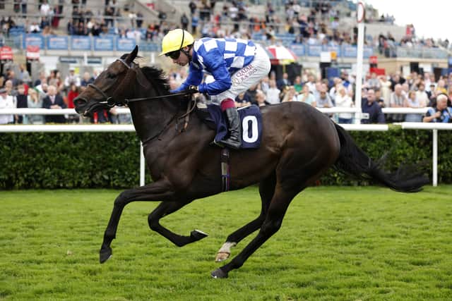 Matilda Picotte is owned by the Matilda and Kilmichael Racing Partnership, some of whom will make the journey to Saudi Arabia to see her start what they hope will be a fruitful season at the top level.
